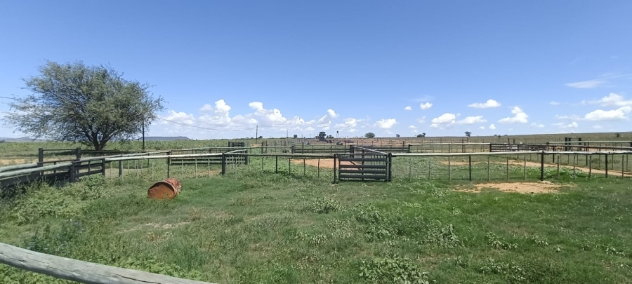 3 Bedroom Property for Sale in Bloemfontein Rural Free State